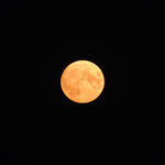 roter Mond 1200 x 1200 pixel.jpg