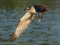 A1B07575-1257-2.jpg