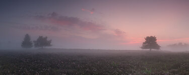 Pano große Heide.jpg