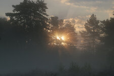 IMG_1625.jpg