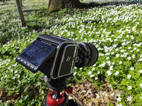 20210421-makingof-blumen.jpg