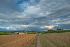DSCF1534.jpg