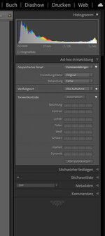 Adhoc Entwicklung.jpg