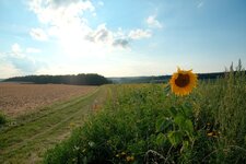 DSCF1585.jpg