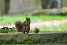 comp_DSC_0127.jpg