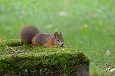 comp_DSC_0198.jpg