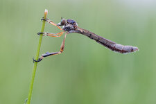 20210630-IMG_9883-b.jpg
