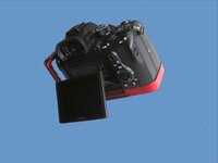 Sony 7.jpg
