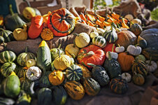 Kuerbisse3.jpg