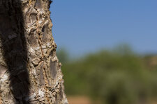 IMG_1077-4.jpg