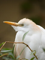 IMG_7534k.jpg