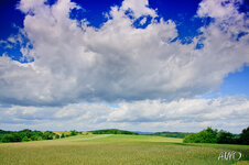 IMG_0626_LR3.jpg