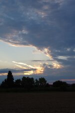 IMGP0629_1.jpg