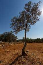 IMG_1029-2.jpg