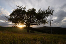 Landschaft-und-Natur010b.jpg