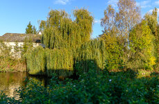 Malestroit 23-10-2021-6.jpg