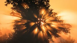 lichtexplosion-detail-1200.jpg