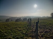 IMG_0416.jpg