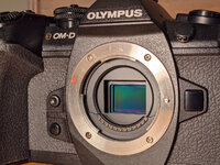 Olympus mini 1.jpg