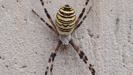 P8290317_cropped.jpg