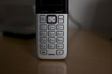 IMG_0304.jpg