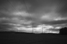 _R000443.jpg