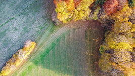 Herbstliches Forum klein4.jpg