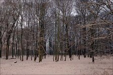 test_S_35mm_01.jpg