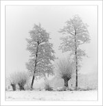 img2014_05_07_214421-Bearbeitet.jpg img2014_05_07_214421-Bearbeitet.jpg