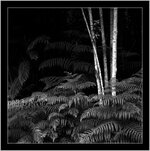 baeume0012.jpg baeume0012.jpg