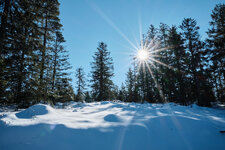 22-01-26 Winter 0041.jpg