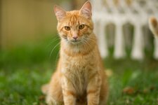 IMG_0596.jpg