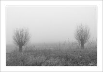 DT_07324.jpg DT_07324.jpg