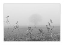 DT_07318.jpg DT_07318.jpg