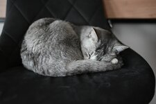 DSC_0092.JPG