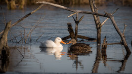 DSC_1287.jpg DSC_1287.jpg