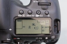F29A4987_1.JPG