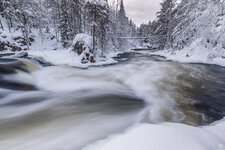 2021-12-03-FI-Oulanka NP-3-1200.jpg