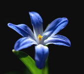 stern 1.jpg stern 1.jpg