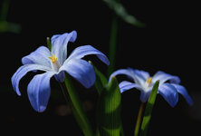 stern 2.jpg stern 2.jpg