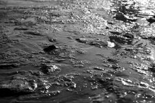 DSCF0996 2.jpg