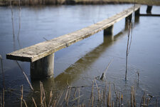DSCF1018 1.jpg