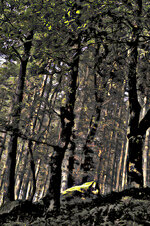 s2mtssn.jpg s2mtssn.jpg