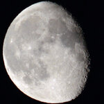 mond-f8-270.jpg