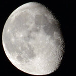 mond-f10-270.jpg