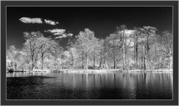 IMG_5420-3r.jpg