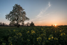 DSC_3518-HDR.jpg