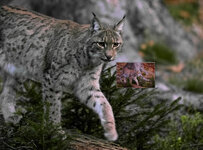 Bildschirmfoto 2022-04-24 um 15.14.43.jpg