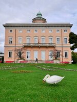 Foto - 1 (5).jpg