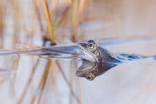20220325-IMG_1058-b.jpg
